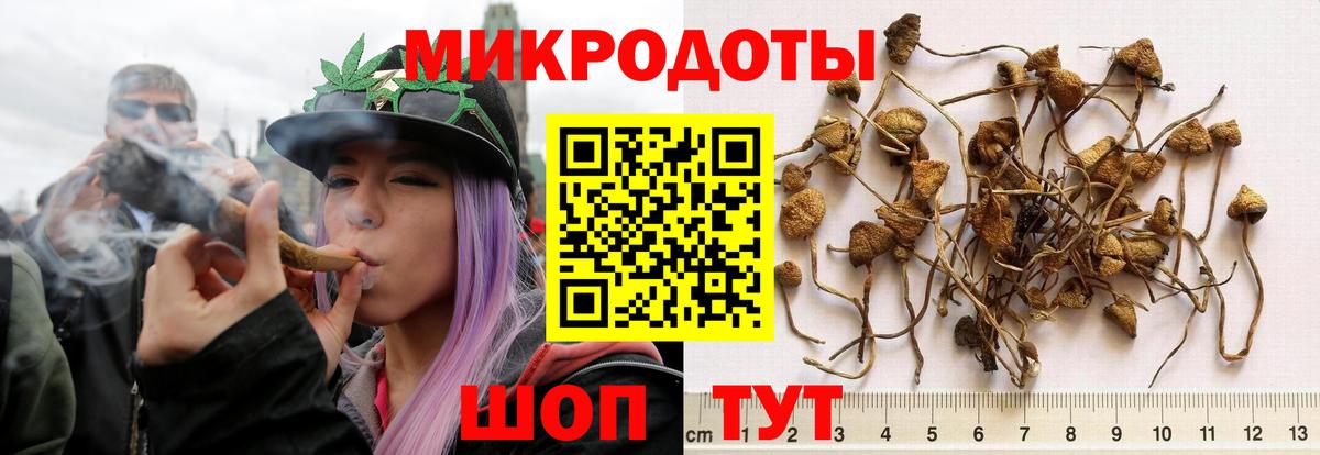 Красноярск  Галлюциногенные грибы Magic Shrooms  Галлюциногенные грибы Magic Shrooms  где купить наркотик  Вход с VPN 